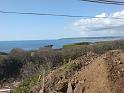DSC00231